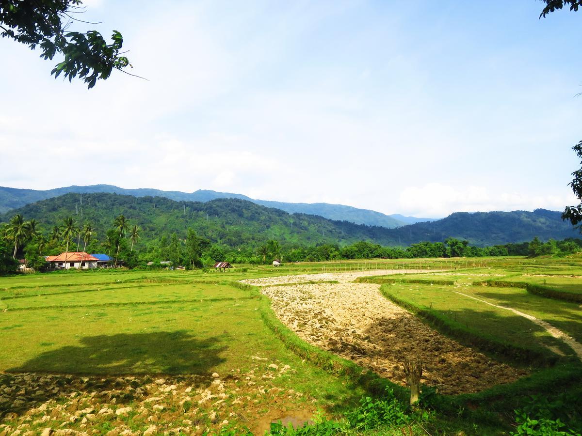 Elephant Adventure Village Tree House Vang Vieng Luaran gambar