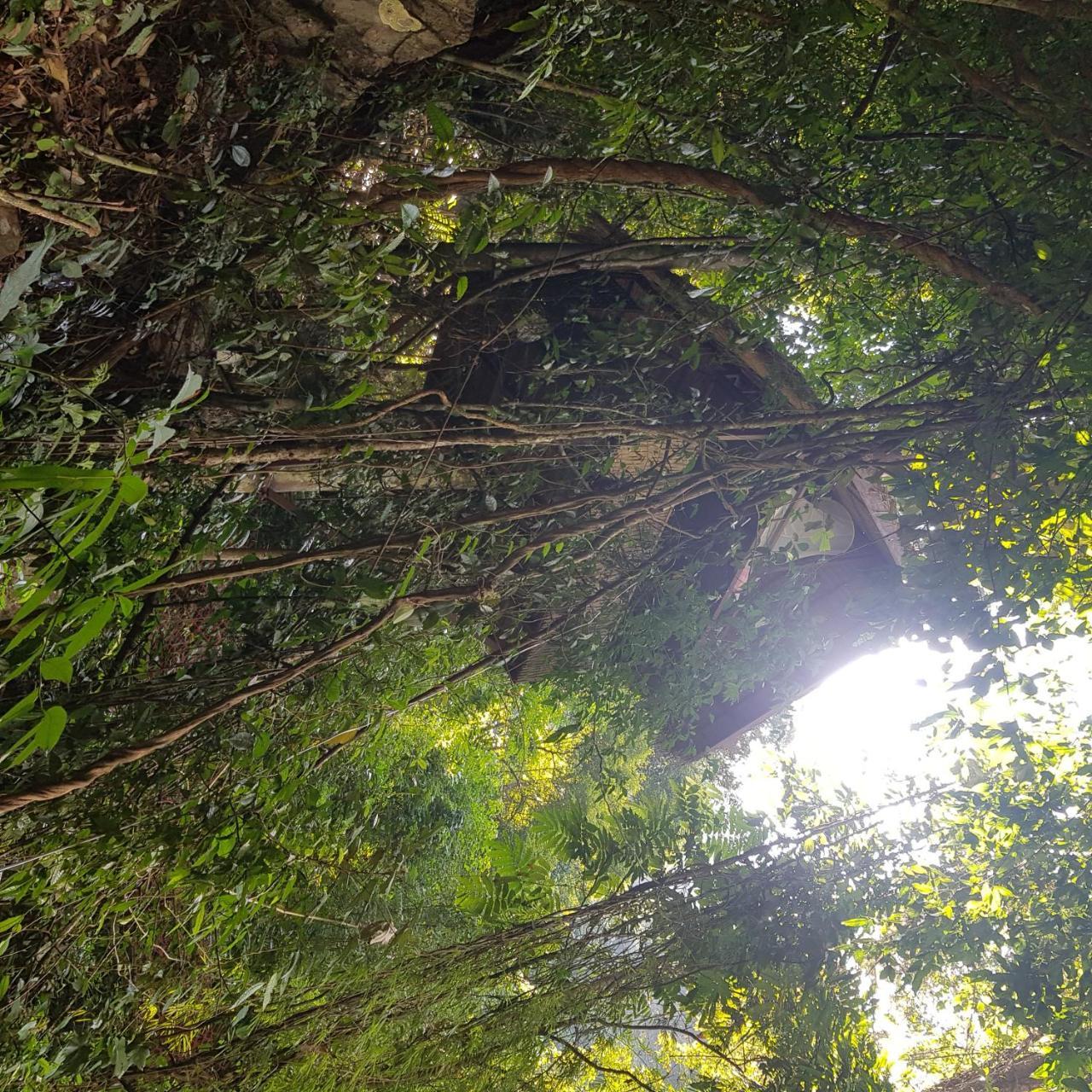 Elephant Adventure Village Tree House Vang Vieng Luaran gambar